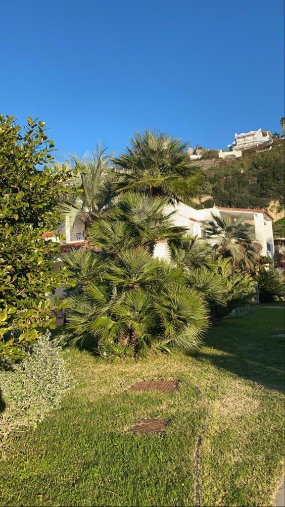 Casa Margherita Ischia Forio  ภายนอก รูปภาพ